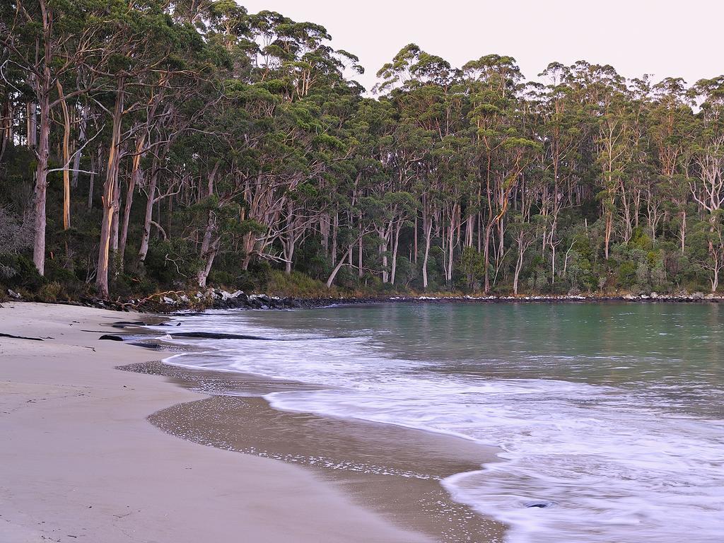 Nrma Port Arthur Holiday Park Eksteriør billede