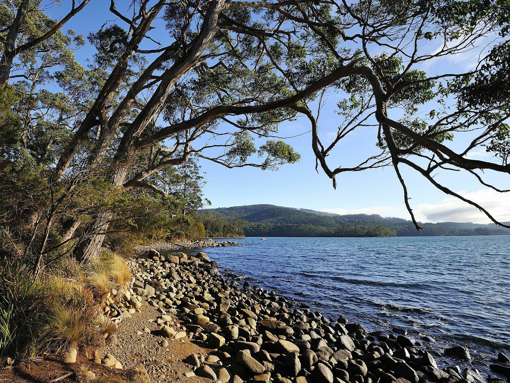 Nrma Port Arthur Holiday Park Eksteriør billede